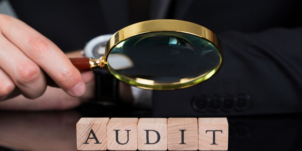 Audit Process